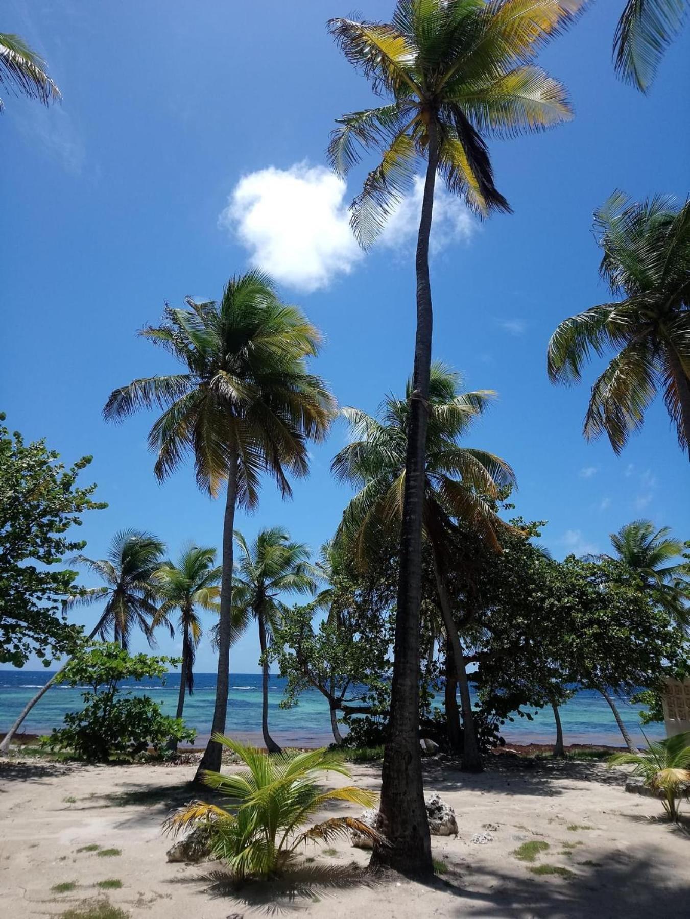 CapesterreBekekeアパートメント エクステリア 写真